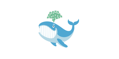 unusual whales